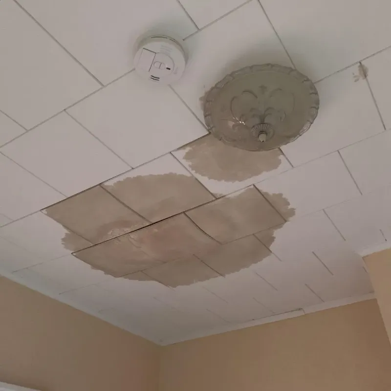 Ceiling Water Damage Repair in North Andover, MA