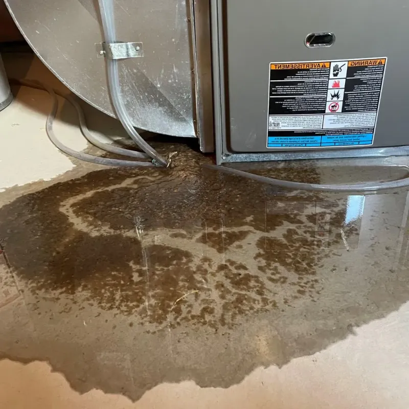 Pipe Burst and Leak Restoration in North Andover, MA