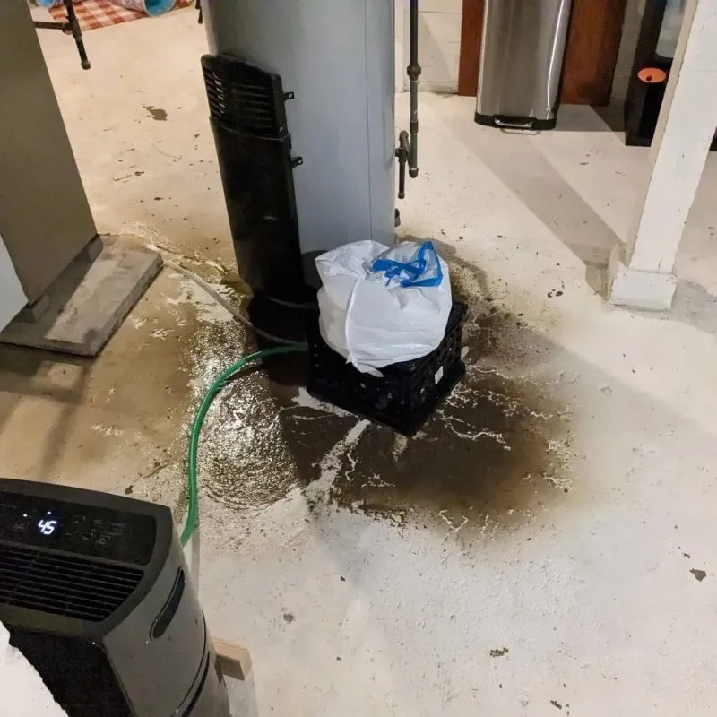 Sewage Backup Cleanup Service in North Andover, MA